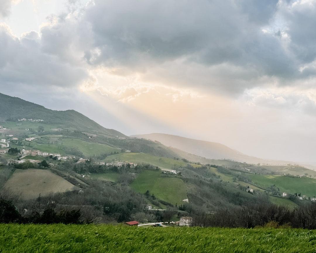 A sun-drenchend tuscan landsacpe