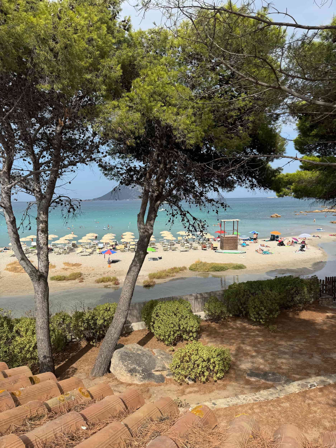 A beach in Sardinia